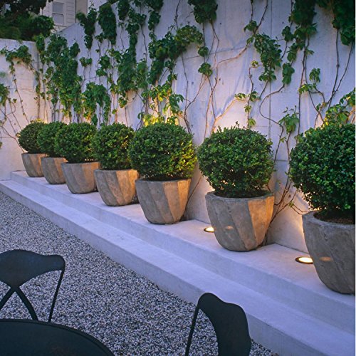 FVTLED 6er Set Ø61mm LED Bodenstrahler Bodeneinbauleuchten Boden Licht IP67 DC12V Wasserdicht Einbauleuchten Außen Terrasse Küche Garten Lampe