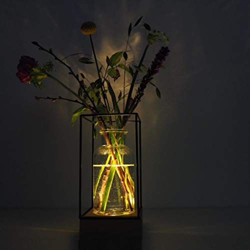 Gadgy® Jarrón decorativo con luz led | Florero vidrio con Base de madera natural y diseño de metal l 22.5 x 10.8 x 10,8 cm