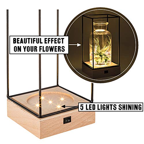 Gadgy® Jarrón decorativo con luz led | Florero vidrio con Base de madera natural y diseño de metal l 22.5 x 10.8 x 10,8 cm