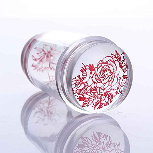 Gankmachine Sello Stamper Doble Clavo Cabeza silicón de la Jalea con rascador de uñas Transparente Verde Herramienta de Estampado manicura del Arte