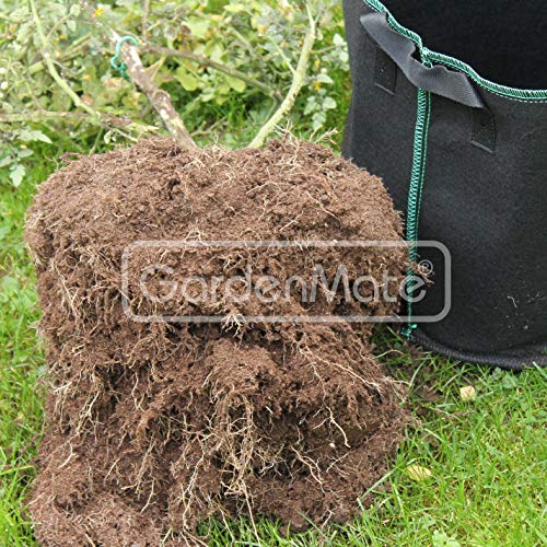 GardenMate 3X 60L Bolsas de Tela no Tejida para Plantas - Altura 40 cm Ø 45,5 cm - GREENLINE