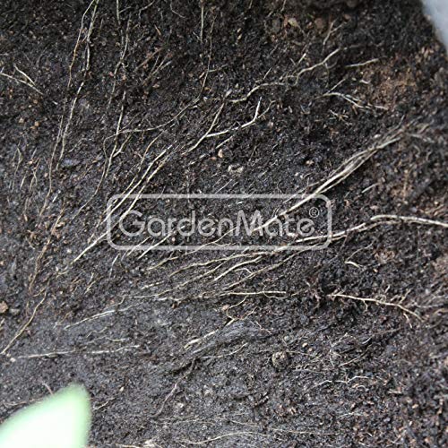 GardenMate 3X 60L Bolsas de Tela no Tejida para Plantas - Altura 40 cm Ø 45,5 cm - GREENLINE