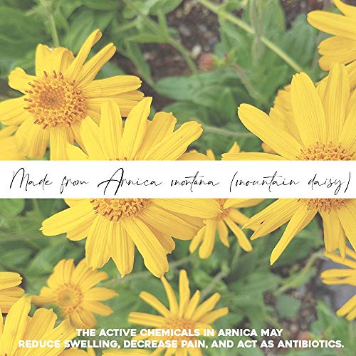 Gel de Árnica Montana 90% 500 ml Acción Rápida Remedio herbal 100% Natural para Aliviar el Dolor Anti-inflamatorio Analgésico Aliviar los daños, golpes o traumatismos en la piel Gel de Deporte