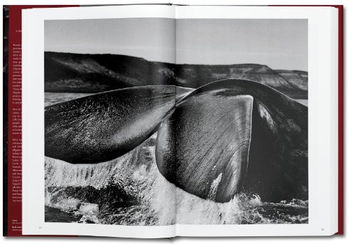 Génesis. Sebastião Salgado [Edición Roughcut]