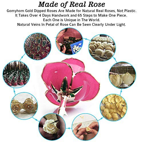 Gomyhom Rosa 24K, Rosa de Oro Chapada en Oro con Caja de Regalo para Madre para Amor en el Día de San Valentín para Aniversario para Amigos como Un Regalo de Cumpleaños (Rosa)