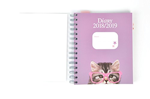 Grupo Erik Editores Studio Pets - Agenda escolar con diseño gato, 15.5 x 19 cm