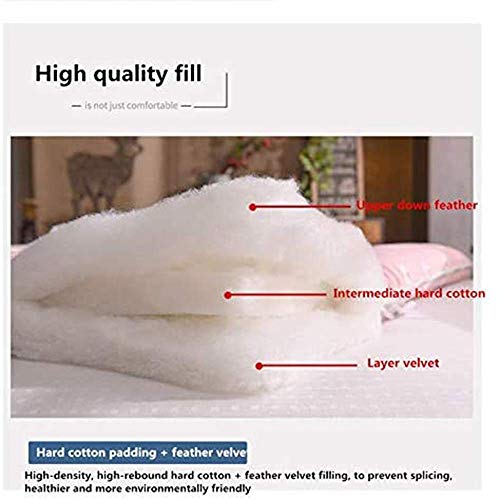 GuoEY Colchón de Tatami, colchón Plegable futón, Dormitorio de Estudiantes, colchón de Cama Individual/Doble para Escuela/Dormitorio/Sala de Estar/Suelo, 5 cm de Grosor, 180 x 200 cm