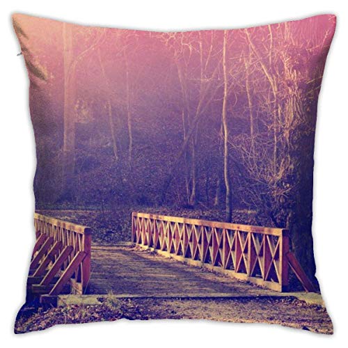 Hangdachang Águila Calva en el árbol Funda de Almohada Decorativa Funda de cojín con Cierre de Cremallera Oculta para el sofá del hogar Dormitorio Silla de cochede