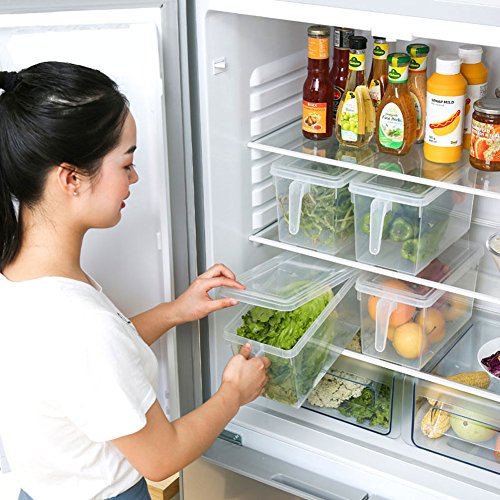 HapiLeap Organizador de Alimentos para Cocina/Congelador, contenedor Transparente con Tapa y Asa (3 Pack)