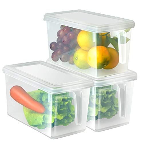 contenedor transparente con tapa y asa 4 Pcs Organizador de alimentos HapiLeap para cocina/congelador