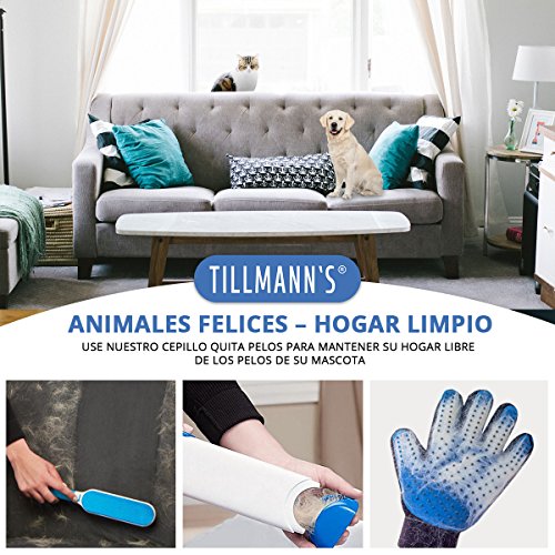 HappyPets Quita Pelos Gato - Perro - Mascotas | Cepillo Recoge Pelos | Atrapa Pelos Del Sofa O La Ropa | Quitapelos Pet Hair