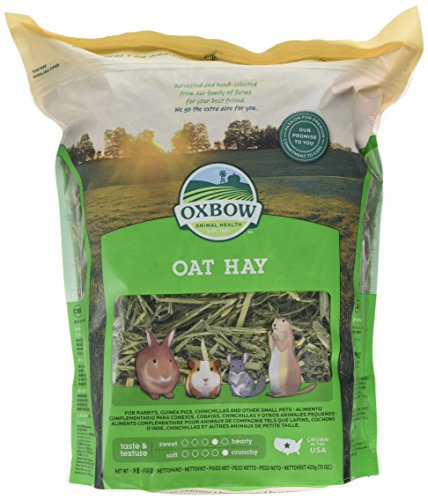 Heno de Avena Oxbow, 425 g