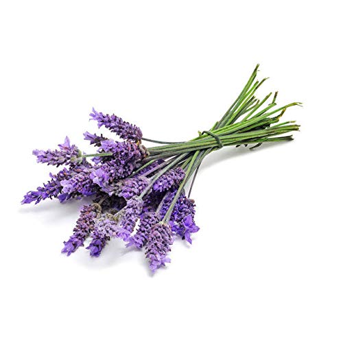 Herbagen - Crema antiacné intensiva para baba de caracol, aceite de lavanda, aceite de árbol de té, flor de preocupación y óxido de zinc, 99% de origen natural