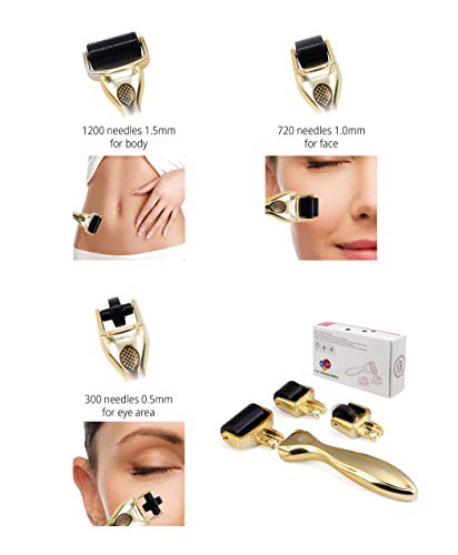 Hivexagon Derma Roller Kit - 3 Cabezales Separados de Diferentes Agujas 180 c/600 c/1200 c en 0,5 mm, 1,0 mm y 1,5 mm con Caja de Almacenamiento- Reduce Acné, Cicatrices Profundas, Estrías HG208