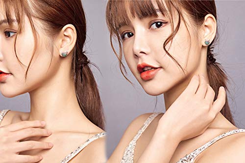 HMMJ Pendientes de Coco de Plata con Incrustaciones de Damas S925 Circonitas Leisurely