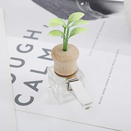 HMXA Perfume de Coches Clip Hierba Olor del ambientador de Aire Auto de la decoración Salida de la Botella vacía Vent Ornamento Regalo de Accesorios Sin perfumes (Color Name : Square)