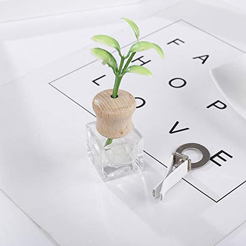 HMXA Perfume de Coches Clip Hierba Olor del ambientador de Aire Auto de la decoración Salida de la Botella vacía Vent Ornamento Regalo de Accesorios Sin perfumes (Color Name : Square)