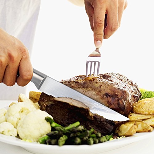 homgeek Cuchillos de Carne, Juego de 6 Cuchillos de Mesa de Acero Inoxidable, Cuchillos de Filete Cuadrado Estilo Alemán con Mango de Ergonómico, Cuchillos Cocina, 22.5 cm
