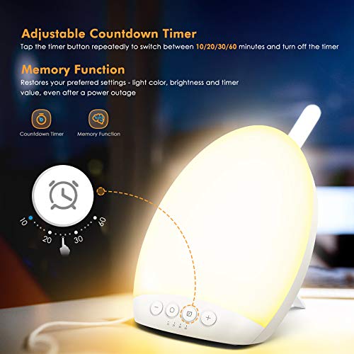HOSOME 10,000 Lux SAD Light Therapy Lámpara portátil, lámparas solares para la depresión estacional, 4 configuraciones de temporizador con función de memoria, tamaño compacto