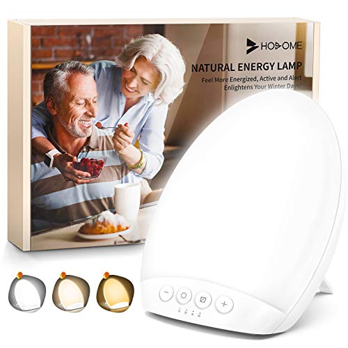 HOSOME 10,000 Lux SAD Light Therapy Lámpara portátil, lámparas solares para la depresión estacional, 4 configuraciones de temporizador con función de memoria, tamaño compacto