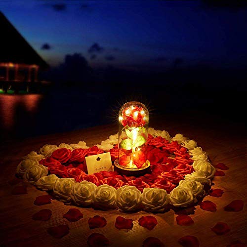 Houkiper Rosa Bella y Bestia Cristal Original, Cúpula de Cristal Rosa 20-LED Luz de Tira, para La Esposa, Novia, Cumpleaños, Día de la Madre, Aniversario de Bodas, Día de San Vale