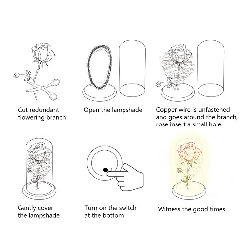 Houkiper Rosa Bella y Bestia Cristal Original, Cúpula de Cristal Rosa 20-LED Luz de Tira, para La Esposa, Novia, Cumpleaños, Día de la Madre, Aniversario de Bodas, Día de San Vale