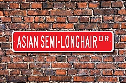 HSSS - Señal de Pelo semilargo asiático para Amantes de los pelos semilargos asiáticos, 10 x 45 cm