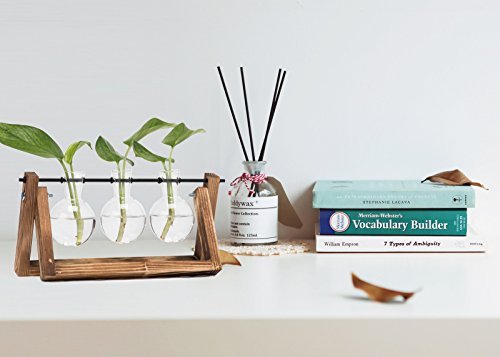 Hyindoor Florero de Vidrio para Planta Hidropónica Florero de Bulbos de 3 Jarrones de Bombilla Cristal con Soporte de Madera de Escritorio
