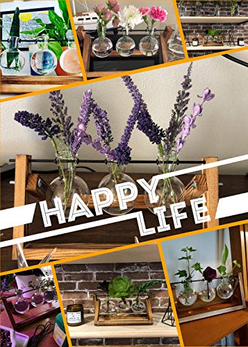 Hyindoor Florero de Vidrio para Planta Hidropónica Florero de Bulbos de 3 Jarrones de Bombilla Cristal con Soporte de Madera de Escritorio