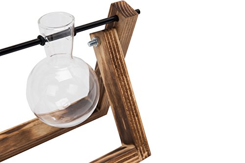 Hyindoor Florero de Vidrio para Planta Hidropónica Florero de Bulbos de 3 Jarrones de Bombilla Cristal con Soporte de Madera de Escritorio