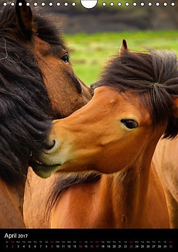 Iceland 63 66 N 2017: Every Month a Little Piece of Icland. From Snaefellsnes via Landmannalaugar to Jokulsarlon Glacier Lagoon (Calvendo Places)