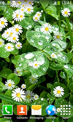 Imágenes de Leaves Live