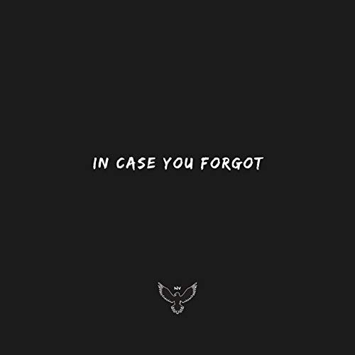 In Case You Forgot [Explicit]