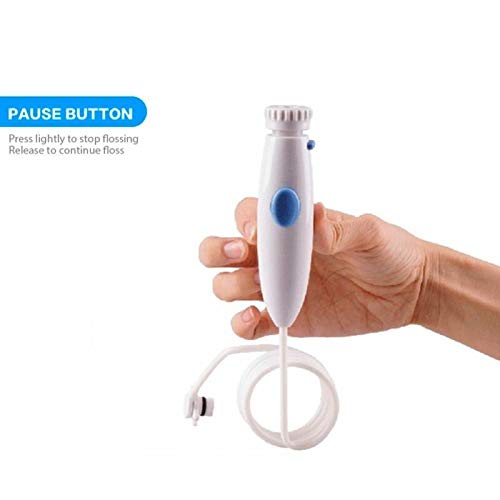 Irrigador Oral Manguera Recambio Water Pik WP100 Water Flosser Dental