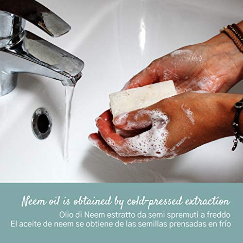 Jabón de Neem - método de elaboración artesanal en frío - Aceite de Neem y Aceite de Coco 100% natural - receta tradicional original