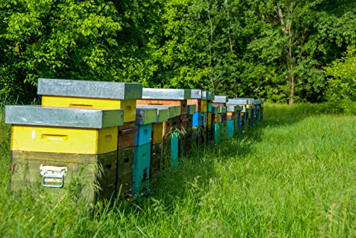 Jalea real orgánica orgánica natural fresca pura ★★ 100% francesa certificada ★★