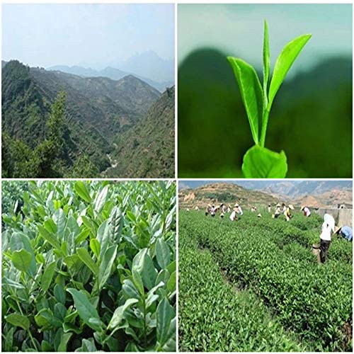 Jazmín flores té verde jazmín copos té chino té verde flor de jazmín 50g (0.11LB) té de hierbas té perfumado Té de flores Té de hierbas té de hierbas Té crudo Té de flores