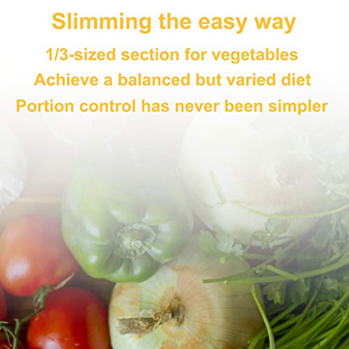 j&m Placa de Adelgazamiento Dividida para un fácil Control de Las porciones | Bellamente diseñado, Control de porciones e Ideas de Alimentos para Perder Peso | Seguir fácilmente una Dieta Saludable