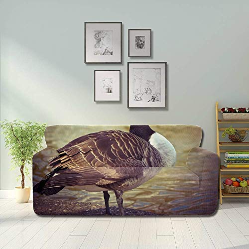 JOCHUAN Goose Animal Bird Poultry Greylag Goose Gander Foldable Sofa Cover Sofa Cover Stretch Fitted Furniture Protector 2&3 Seat Sofas