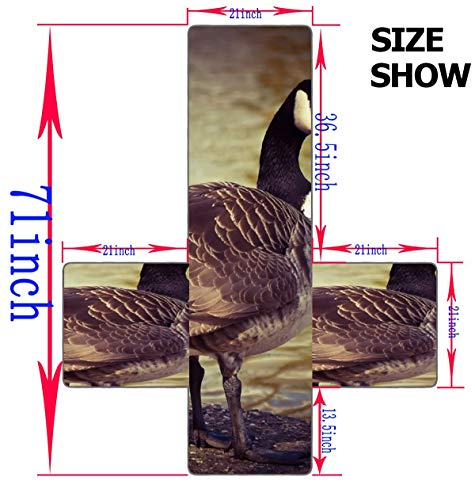 JOCHUAN Goose Animal Bird Poultry Greylag Goose Gander Seccional Sofa Covers Sofa Cushion Inserts Fit-All Sofa Cushion Cover Furniture Protector For Pets, Kids, Cats, Sofa
