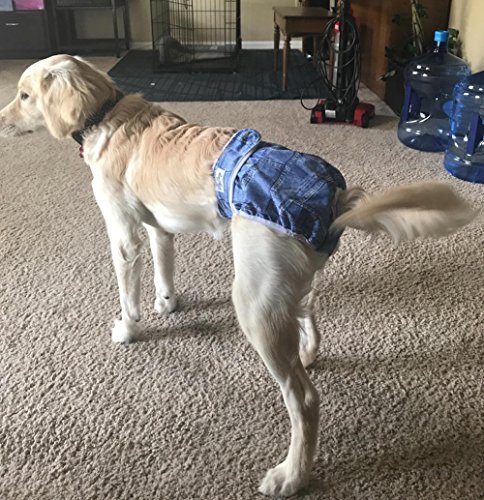 JoyDaog - Pañales para perro pequeño para hembras reutilizable, de primer calidad cachorros