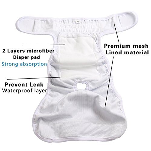 JoyDaog - Pañales para perro pequeño para hembras reutilizable, de primer calidad cachorros