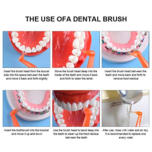 Juego de 30 cepillos interdentales (0,6 mm a 1,2 mm), fácil y simple limpieza interespacial con mango largo y cuello en ángulo.