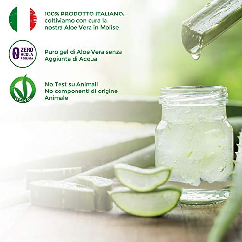 Jugo y pulpa de Aloe Vera para beber, sin pasteurizar y sin filtrar - Hecho en Italia a partir de nuestros cultivos - 1 LT