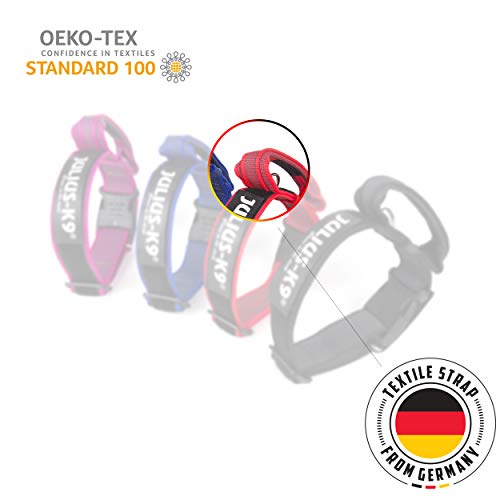 Julius-K9 Collar Color & Gray, 25 mm (39-65 cm), Negro-Gris