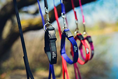 Julius-K9 Collar Color & Gray, 25 mm (39-65 cm), Negro-Gris