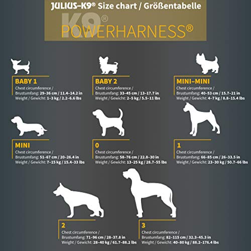 Julius-K9 Mini-Mini, 40-53 cm, Rojo