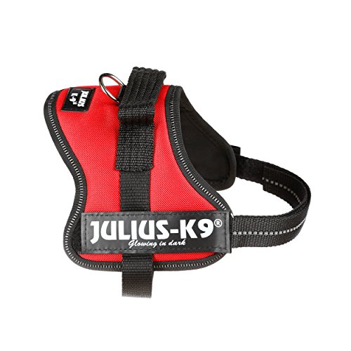 Julius-K9 Mini-Mini, 40-53 cm, Rojo