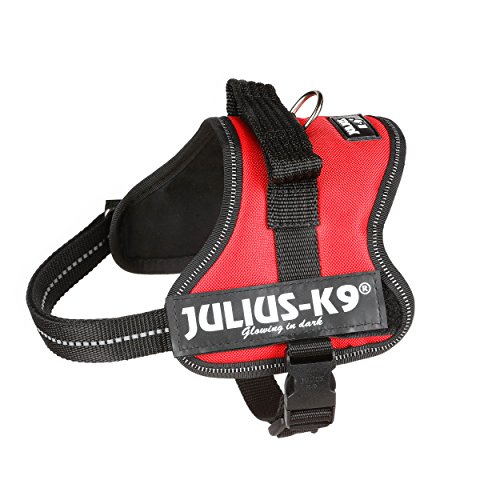 Julius-K9 Mini-Mini, 40-53 cm, Rojo