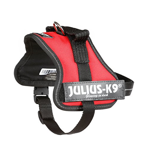 Julius-K9 Mini-Mini, 40-53 cm, Rojo